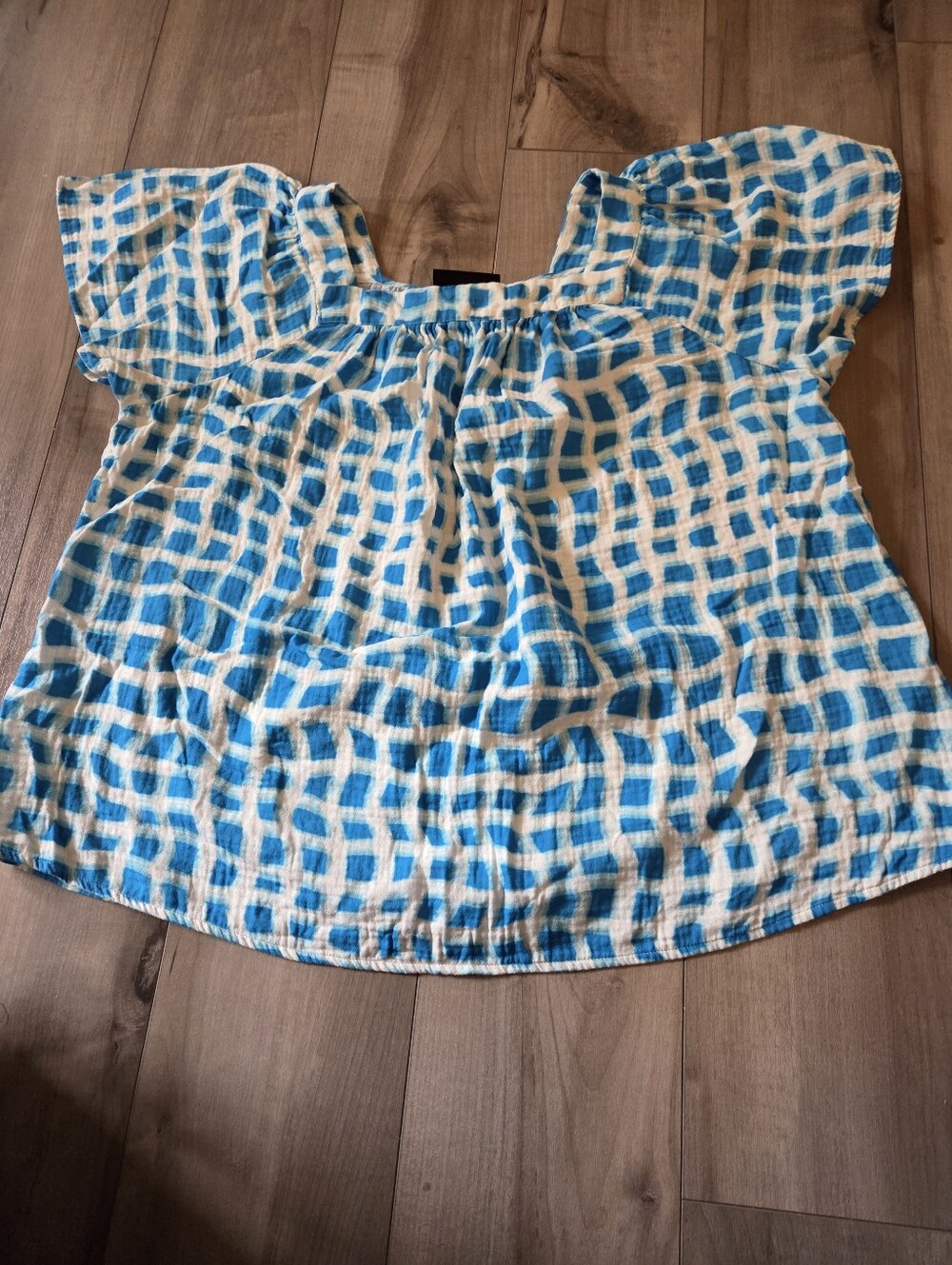 Lane Bryant Blue and White Checked Peasant Blouse